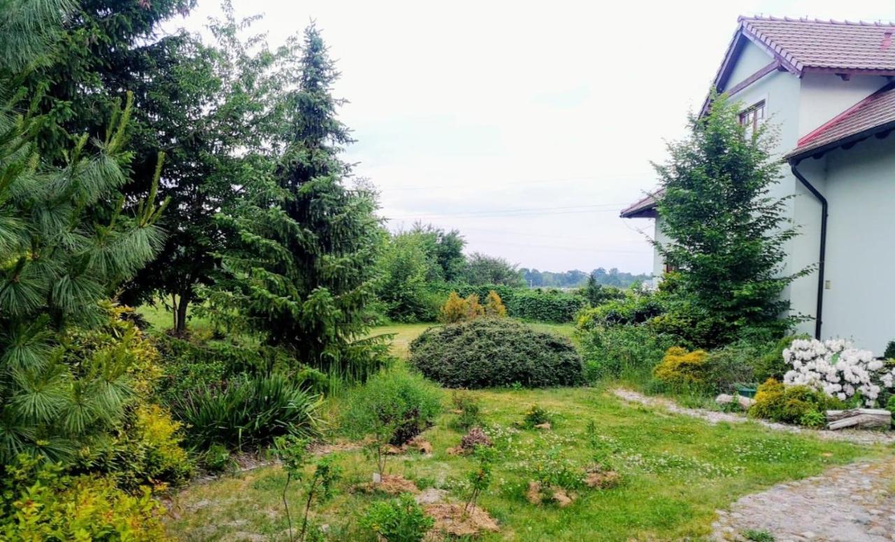 Apartamenty Zielona Gora Exterior foto