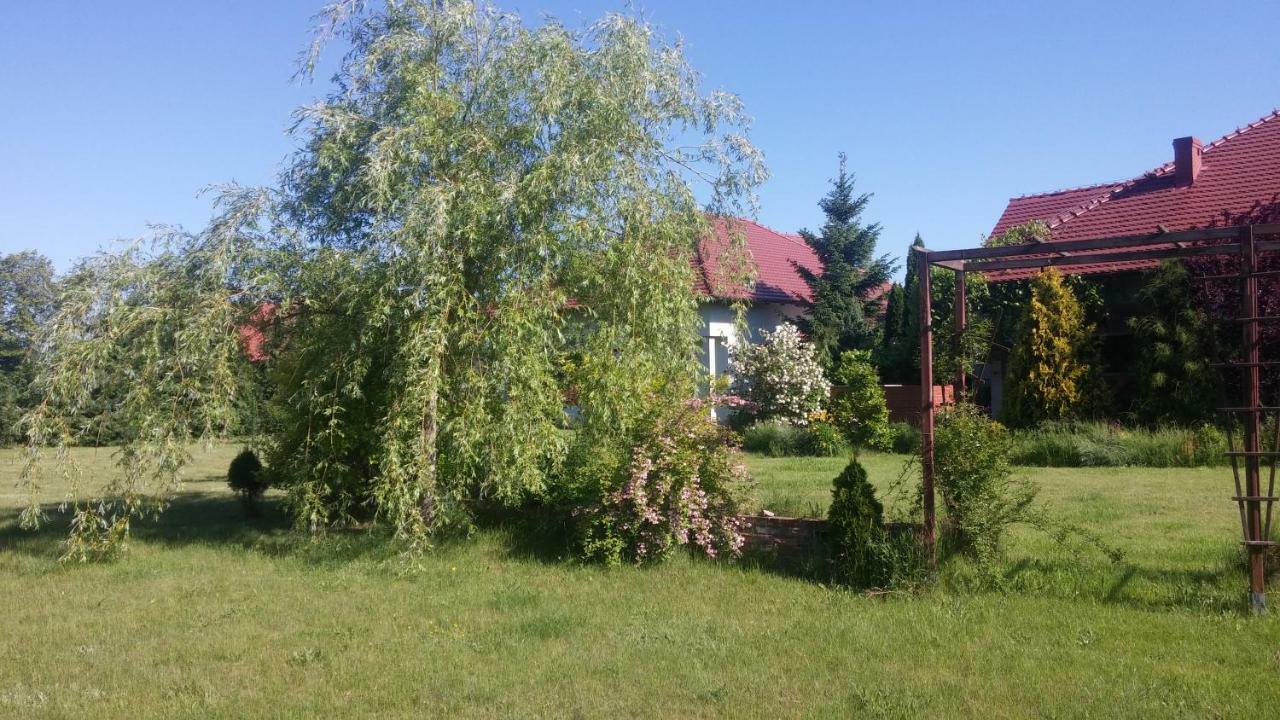 Apartamenty Zielona Gora Exterior foto